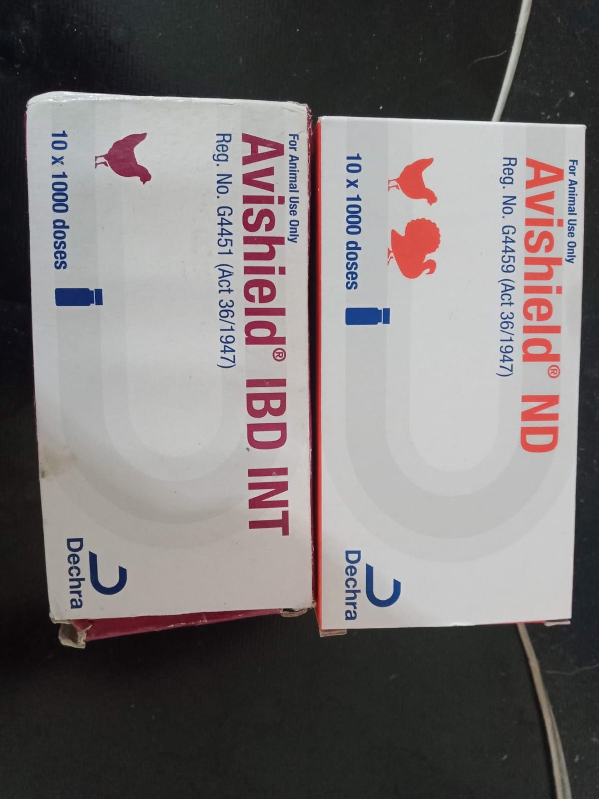 Avishield IBD INT — Vacina