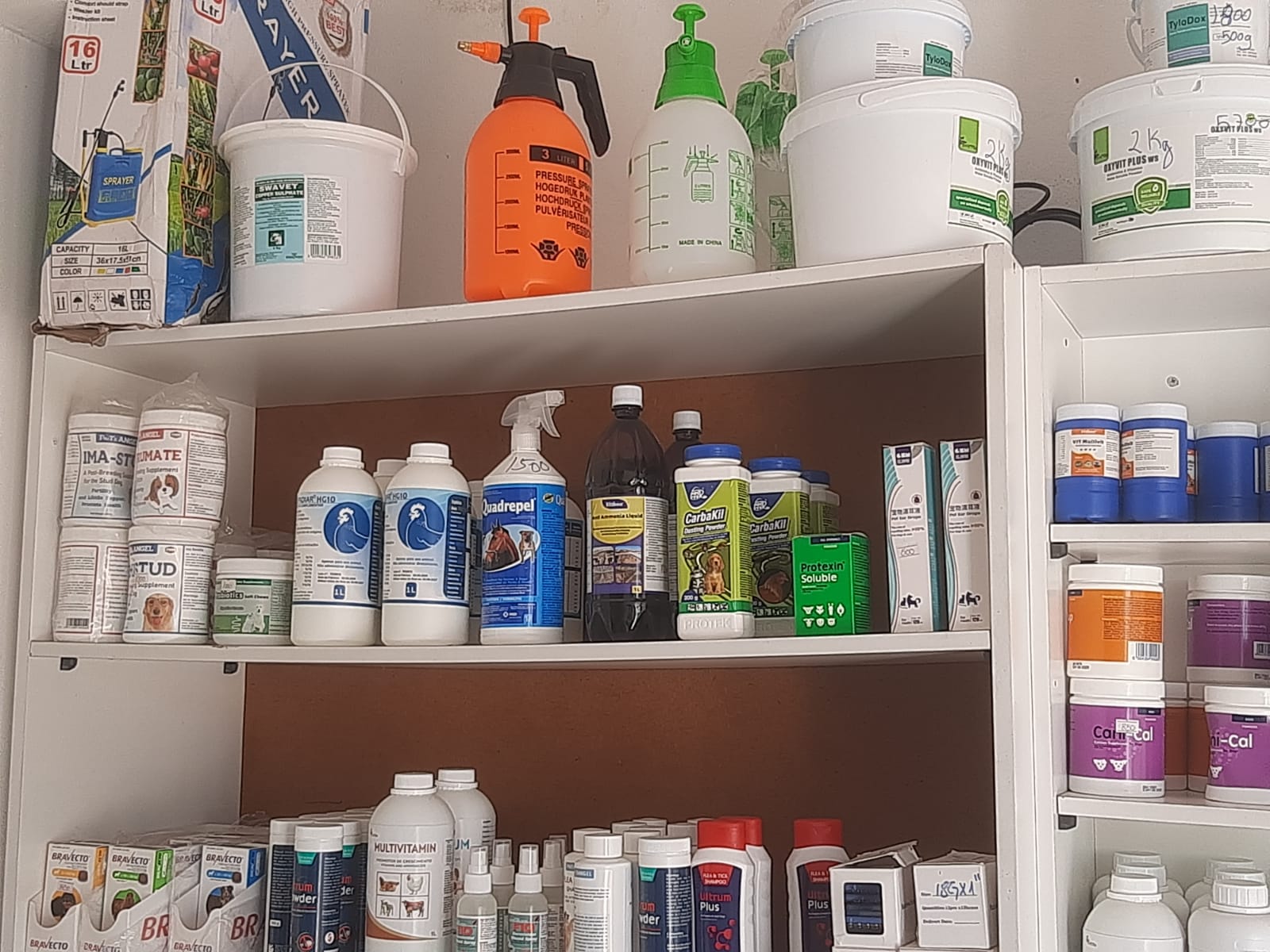 Prateleira de farmácia veterinária com suplementos, multivitamínicos, Bravecto e desparasitantes — VetWorkx Maputo