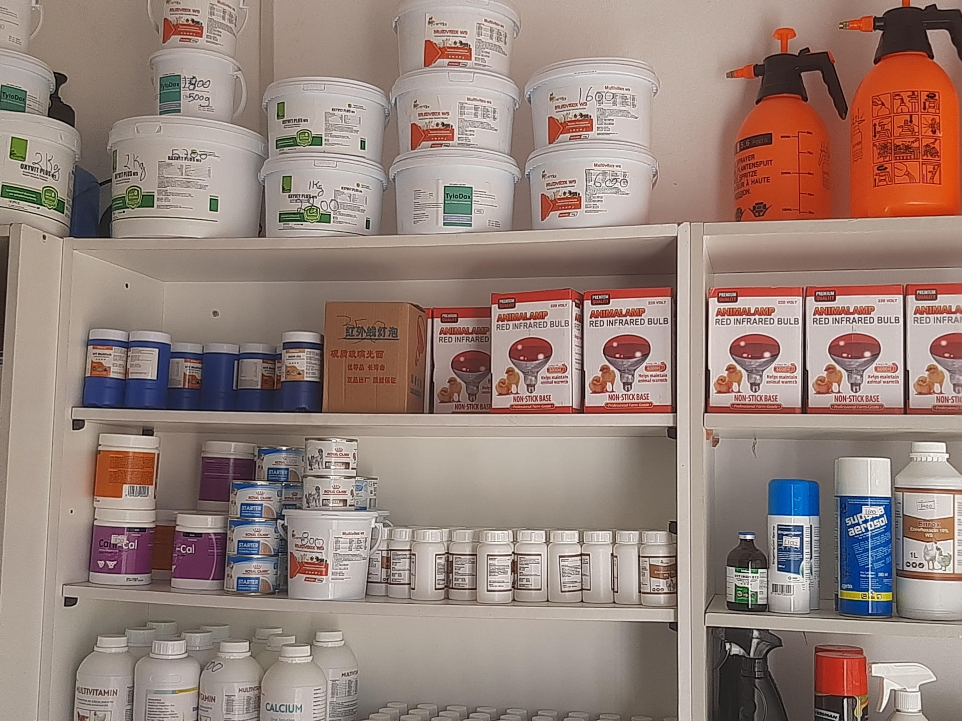 Interior da loja VetWorkx — prateleiras de antibióticos, suplementos e lâmpadas de aquecimento